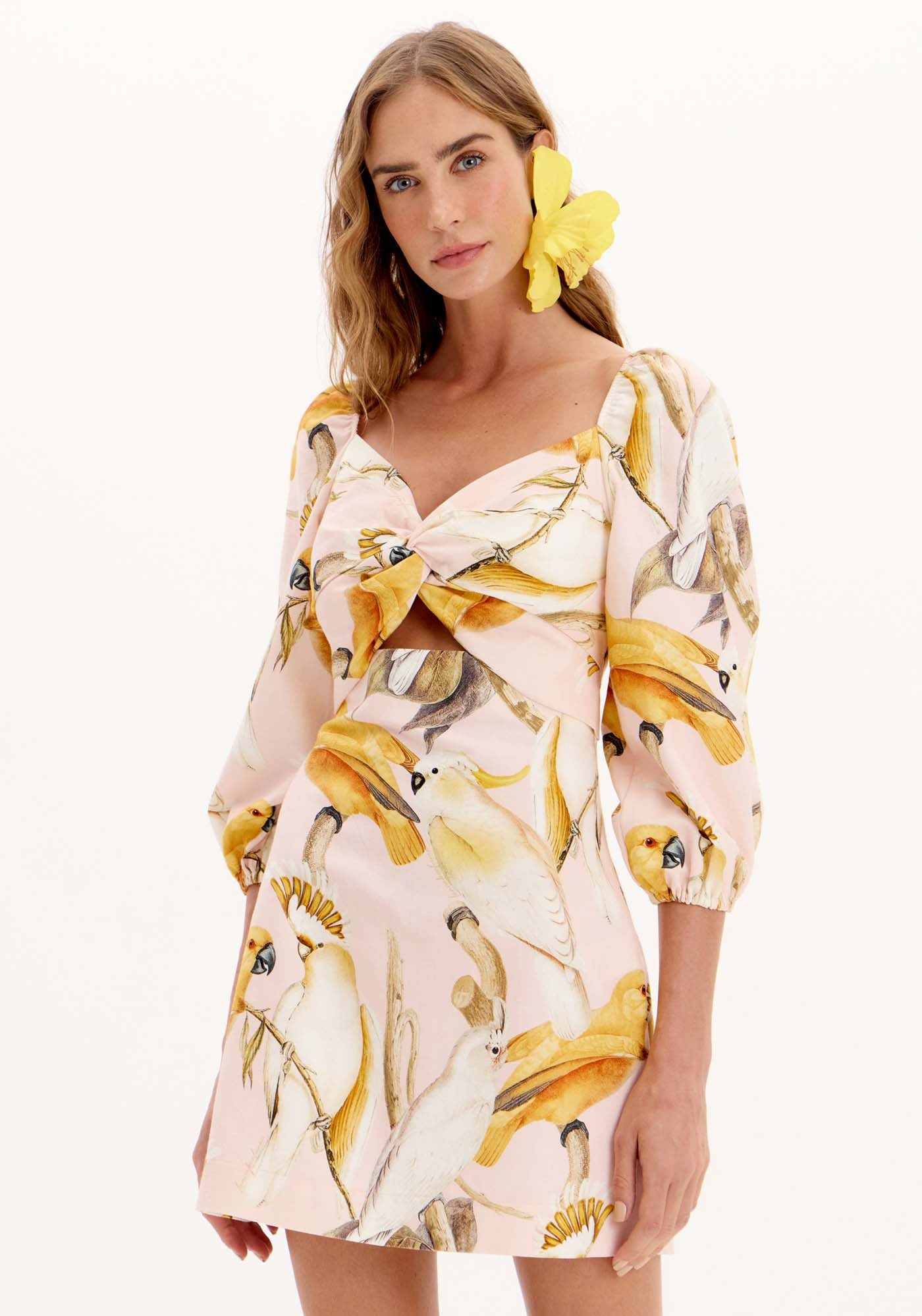 LP Cockatoo Print Dress