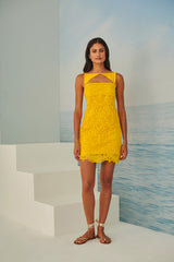 TD Yellow Short Lace Dress