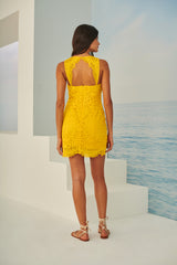 TD Yellow Short Lace Dress